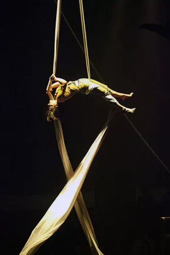 THIS IS THE END, spectacle de fin d'études de la 23e promotion du Centre national des arts du cirque/CNAC de Châlons-en-Champagne, mis en scène par David Bobee