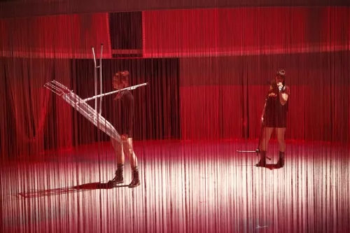 PULSIONS, spectacle de fin d'études de la 24e promotion du Centre national des arts du cirque/CNAC de Châlons-en-Champagne, mis en scène par Laurent Laffargue