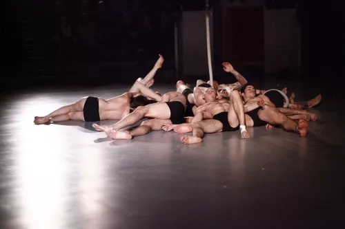 PULSIONS_24E_L_LAFFARGUE_2012_SPECT_FIN_ETUDES_CNAC_CHALONS_EN_CHAMPAGNE