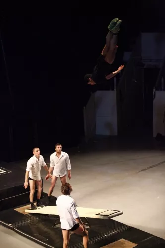 PULSIONS_24E_L_LAFFARGUE_2012_SPECT_FIN_ETUDES_CNAC_CHALONS_EN_CHAMPAGNE