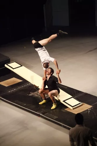 PULSIONS_24E_L_LAFFARGUE_2012_SPECT_FIN_ETUDES_CNAC_CHALONS_EN_CHAMPAGNE