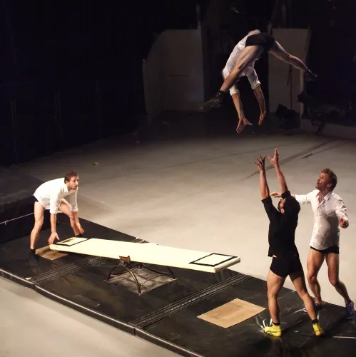 PULSIONS_24E_L_LAFFARGUE_2012_SPECT_FIN_ETUDES_CNAC_CHALONS_EN_CHAMPAGNE