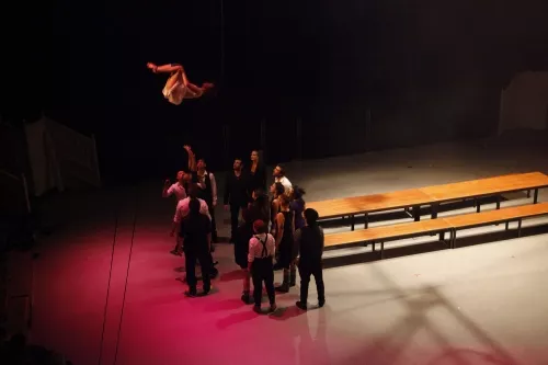 PULSIONS_24E_L_LAFFARGUE_2012_SPECT_FIN_ETUDES_CNAC_CHALONS_EN_CHAMPAGNE