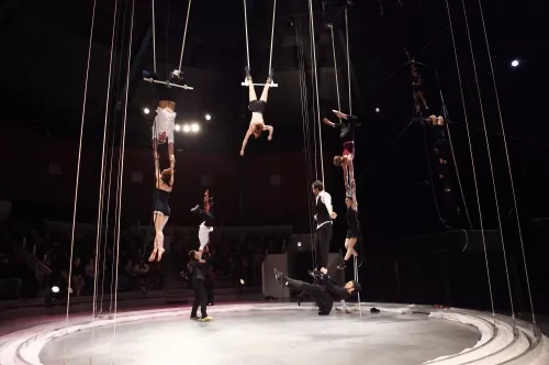 PULSIONS, spectacle de fin d'études de la 24e promotion du Centre national des arts du cirque/CNAC de Châlons-en-Champagne, mis en scène par Laurent Laffargue