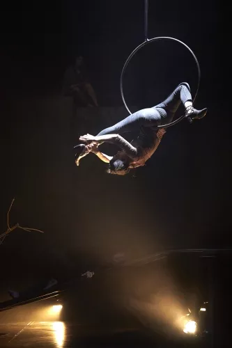 VANAVARA, spectacle de fin d'études de la 28e promotion du Centre national des arts du cirque/CNAC de Châlons-en-Champagne, mis en scène par Gaëtan Levèque / Collectif AOC