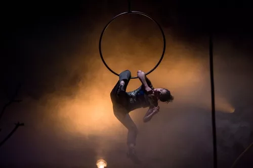 VANAVARA, spectacle de fin d'études de la 28e promotion du Centre national des arts du cirque/CNAC de Châlons-en-Champagne, mis en scène par Gaëtan Levèque / Collectif AOC
