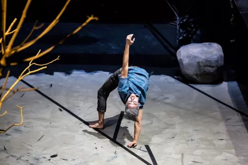 VANAVARA, spectacle de fin d'études de la 28e promotion du Centre national des arts du cirque/CNAC de Châlons-en-Champagne, mis en scène par Gaëtan Levèque / Collectif AOC