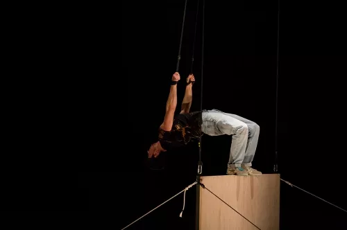 Fraser Borwick, sangles aériennes, 29e promotion du Centre national des arts du cirque (Cnac) de Châlons-en-Champagne