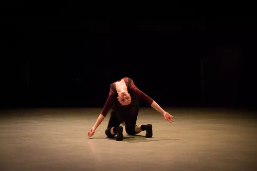 Lucille Chalopin, contorsions - équilibres - acrobatie, 30e promotion du centre national des arts du cirque (Cnac) de Châlons-en-Champagne