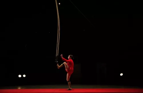 Léa Leprêtre, trapèze ballant basse hauteur, 30e promotion du Centre national des arts du cirque (Cnac) de Châlons-en-Champagne