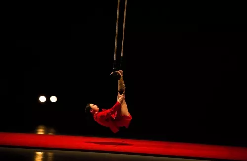 Léa Leprêtre, trapèze ballant basse hauteur, 30e promotion du Centre national des arts du cirque (Cnac) de Châlons-en-Champagne
