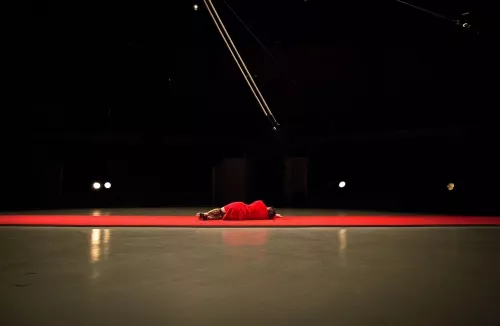 Léa Leprêtre, trapèze ballant basse hauteur, 30e promotion du Centre national des arts du cirque (Cnac) de Châlons-en-Champagne