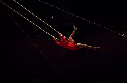 Léa Leprêtre, trapèze ballant basse hauteur, 30e promotion du Centre national des arts du cirque (Cnac) de Châlons-en-Champagne