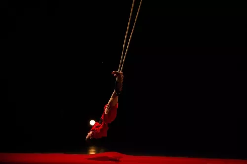 Léa Leprêtre, trapèze ballant basse hauteur, 30e promotion du Centre national des arts du cirque (Cnac) de Châlons-en-Champagne