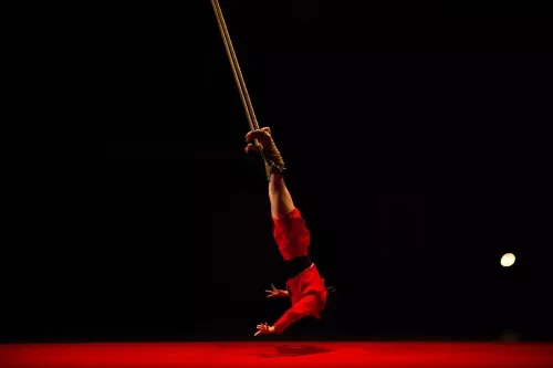 Léa Leprêtre, trapèze ballant basse hauteur, 30e promotion du Centre national des arts du cirque (Cnac) de Châlons-en-Champagne