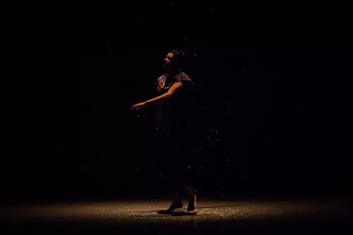 Lili Parson, roue Cyr, 30e promotion du Centre national des arts du cirque (Canc) de Châlons-en-Champagne