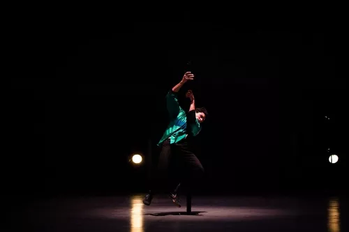 Léon Volet, mât chinois, 30e promotion du Centre national des arts du cirque (Cnac) de Châlons-en-Champagne