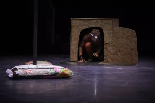 Aris Colangelo, mât chinois, 32e promotion du Centre national des arts du cirque/CNAC de Châlons-en-Champagne