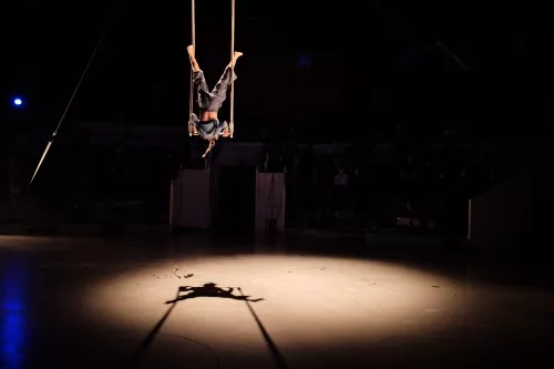 Helena Humm, trapèze fixe, 33e promotion du Centre national des arts du cirque / CNAC de Châlons-en-Champagne