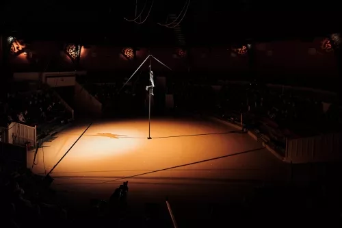 Josinaldo Tavares Pacheco, mât chinois, 33e promotion du Centre national des arts du cirque / CNAC de Châlons-en-Champagne