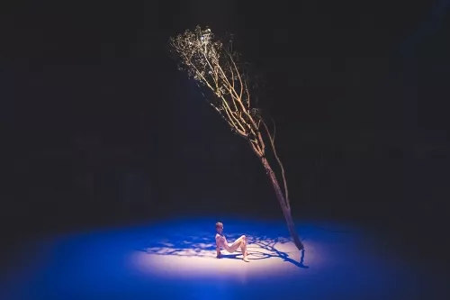 Jef Everaert, roue Cyr, 34e promotion du Centre national des arts du cirque / CNAC de Châlons-en-Champagne