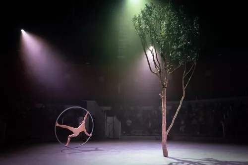 Jef Everaert, roue Cyr, 34e promotion du Centre national des arts du cirque / CNAC de Châlons-en-Champagne