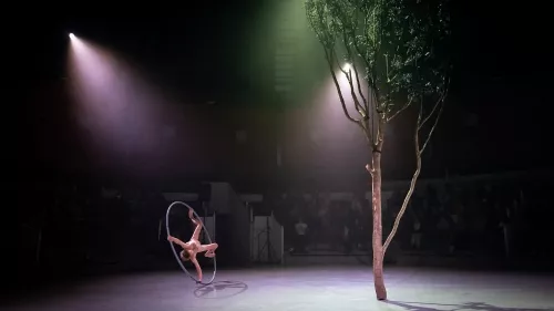 Jef Everaert, roue Cyr, 34e promotion du Centre national des arts du cirque / CNAC de Châlons-en-Champagne