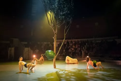 Jef Everaert, roue Cyr, 34e promotion du Centre national des arts du cirque / CNAC de Châlons-en-Champagne