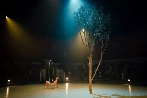 Jef Everaert, roue Cyr, 34e promotion du Centre national des arts du cirque / CNAC de Châlons-en-Champagne