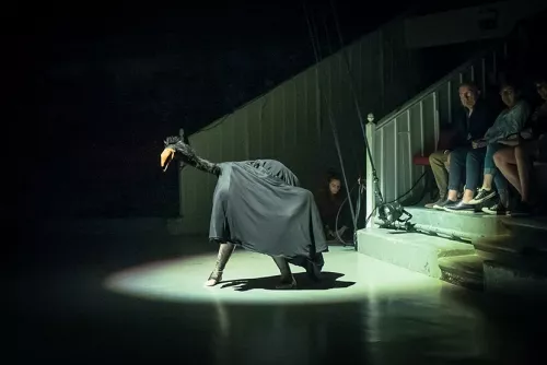 Elena Mengoni, trapèze ballant, 34e promotion du Centre national des arts du cirque / CNAC de Châlons-en-Champagne