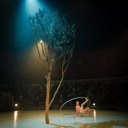 Jef Everaert, roue Cyr, 34e promotion du Centre national des arts du cirque / CNAC de Châlons-en-Champagne